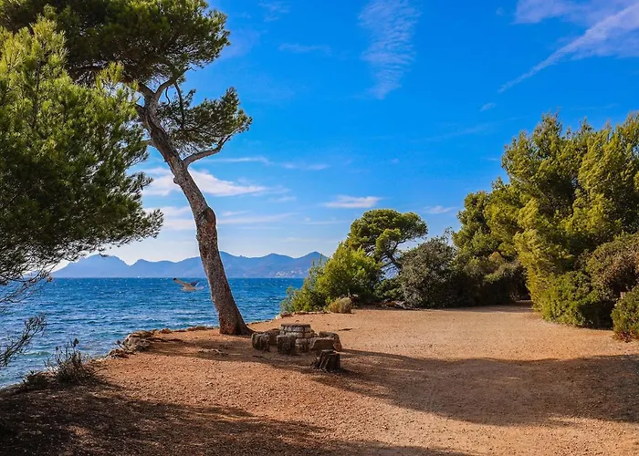 Sea View & Large Terrace Live In La Vista דירה